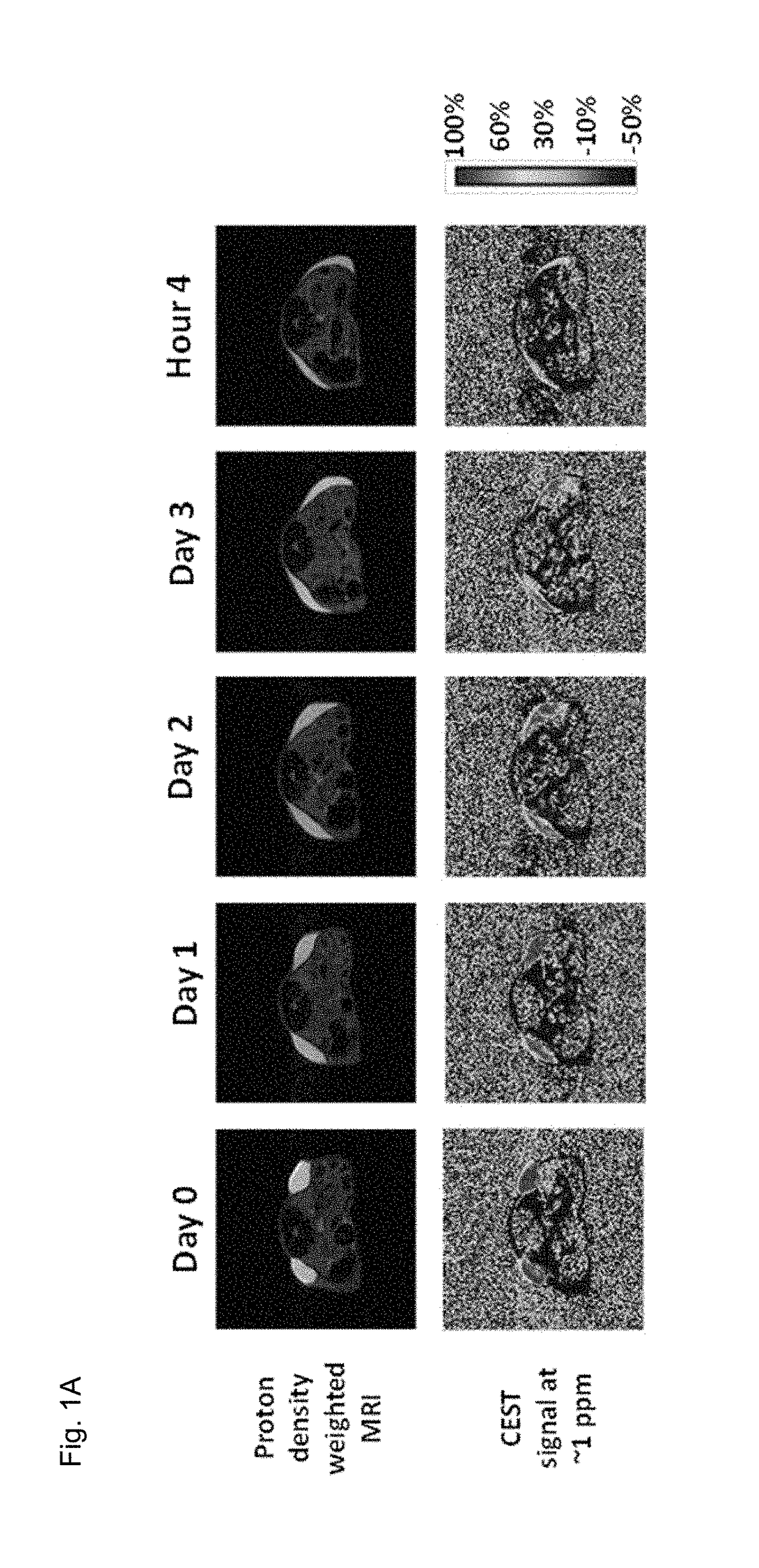 Conjugates comprising an GLP-1/glucagon dual agonist, a linker and hyaluronic acid