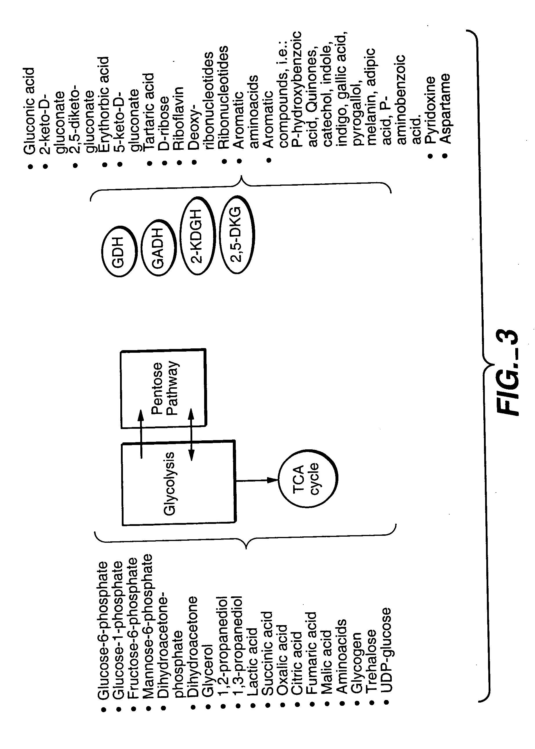 Uncoupled productive and catabolic host cell pathways