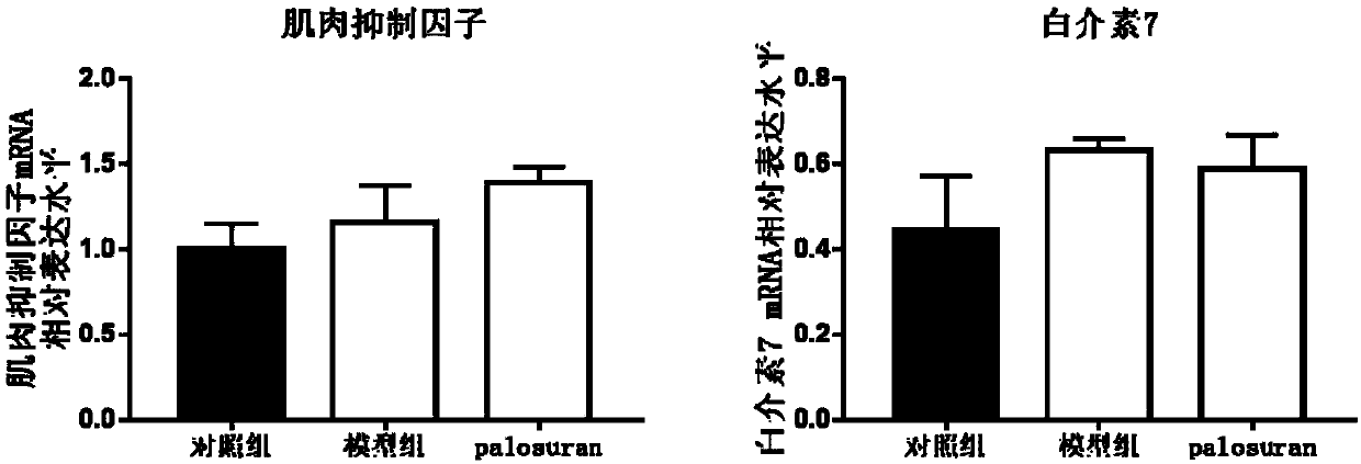 Application of compound palosuran to prevention and treatment of diseases of skeletal muscle atrophy