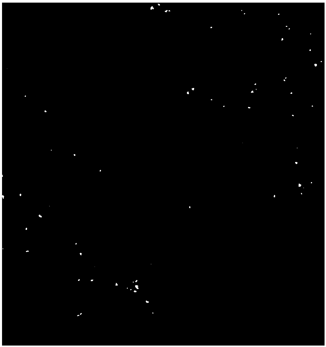 Organic-encapsulated magnetic nanoparticle composite bone bracket and preparation method thereof