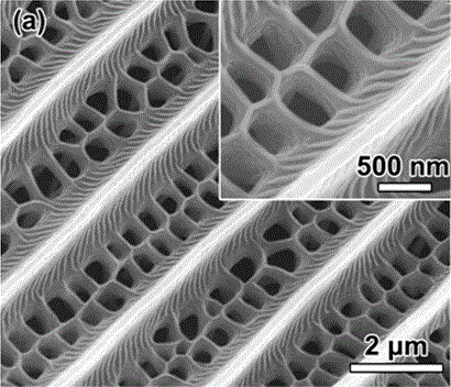 Plasma and magnetism integrated metal nanoparticle film and preparation method thereof