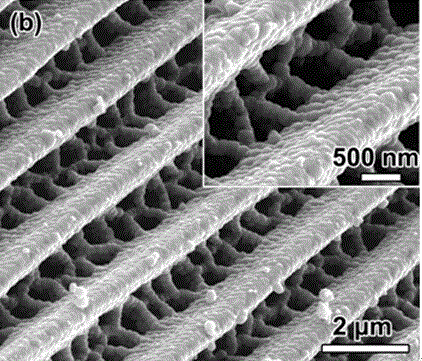 Plasma and magnetism integrated metal nanoparticle film and preparation method thereof