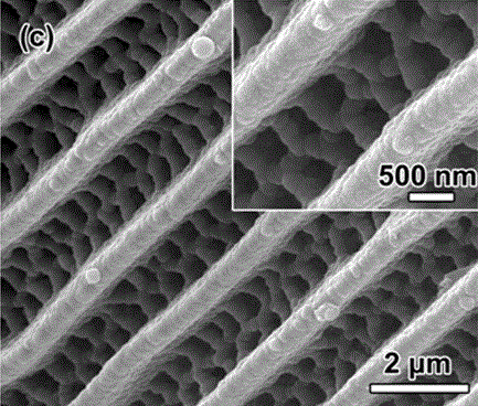 Plasma and magnetism integrated metal nanoparticle film and preparation method thereof