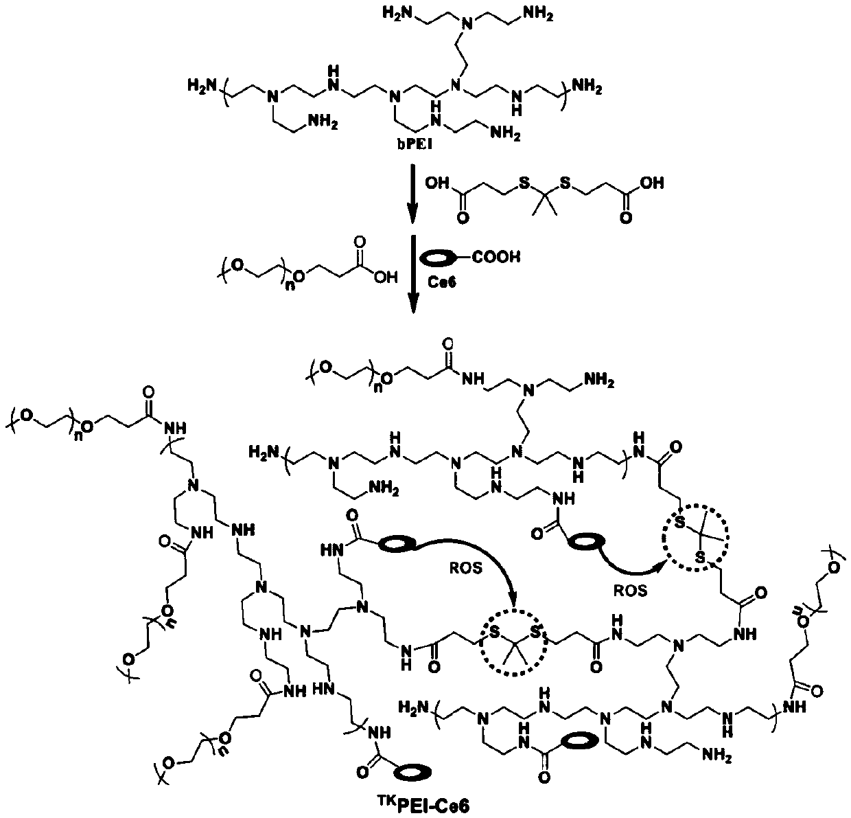 Branched polyetherimide material containing ketone thioacetal bond, as well as preparation method and application thereof