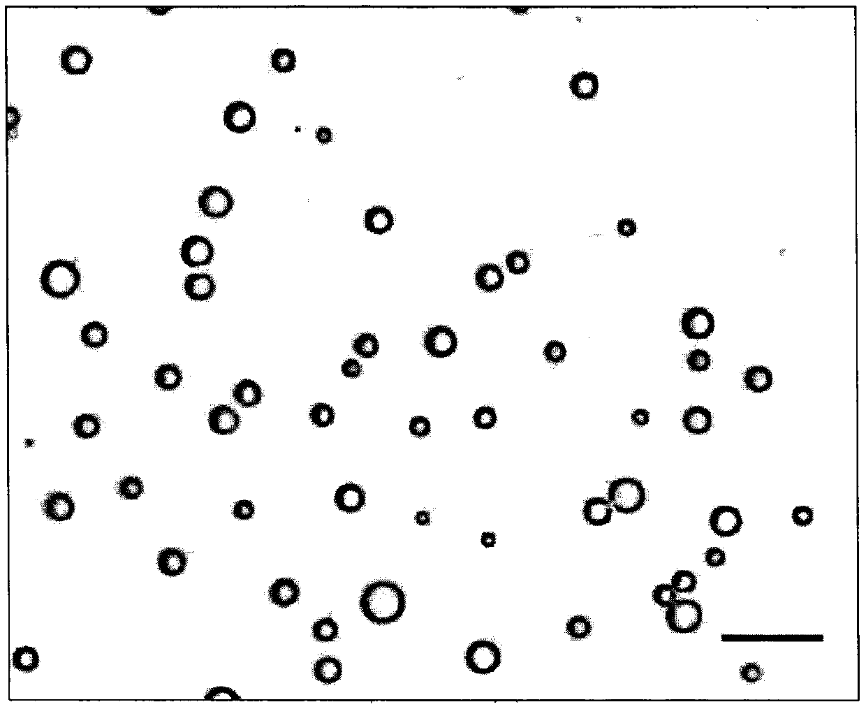 Medicine for treating amyotrophic lateral sclerosis and method for enhancing blood-brain barrier opening effect