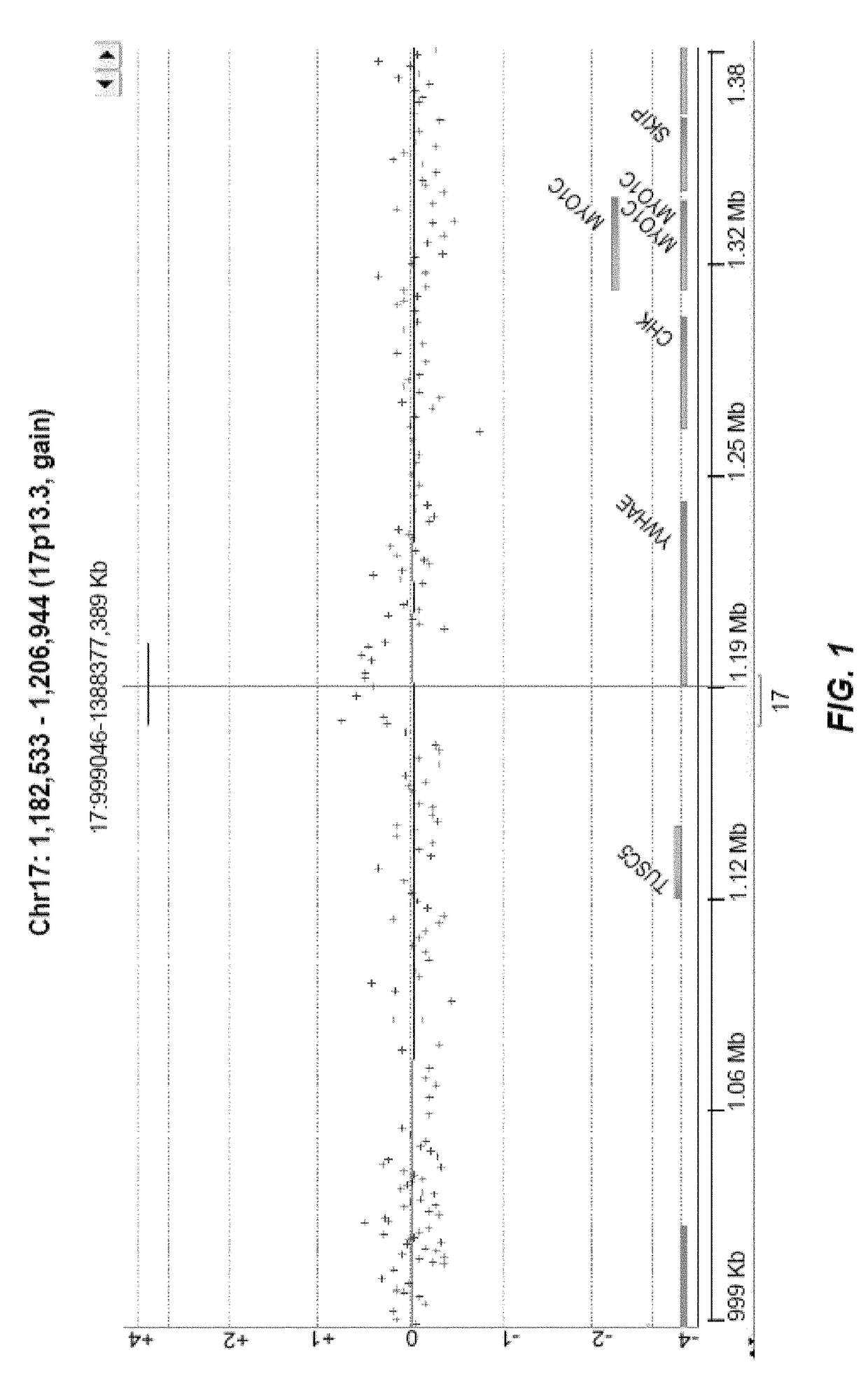 Methods and compositions for screening and treating developmental disorders