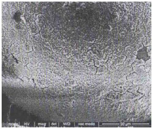 Titanium dioxide composite filler, preparation method thereof and reflective heat insulation coating