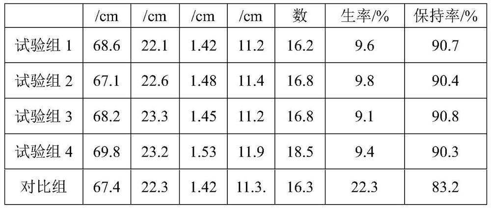 A kind of cultivation method of new gerbera chrysanthemum variety