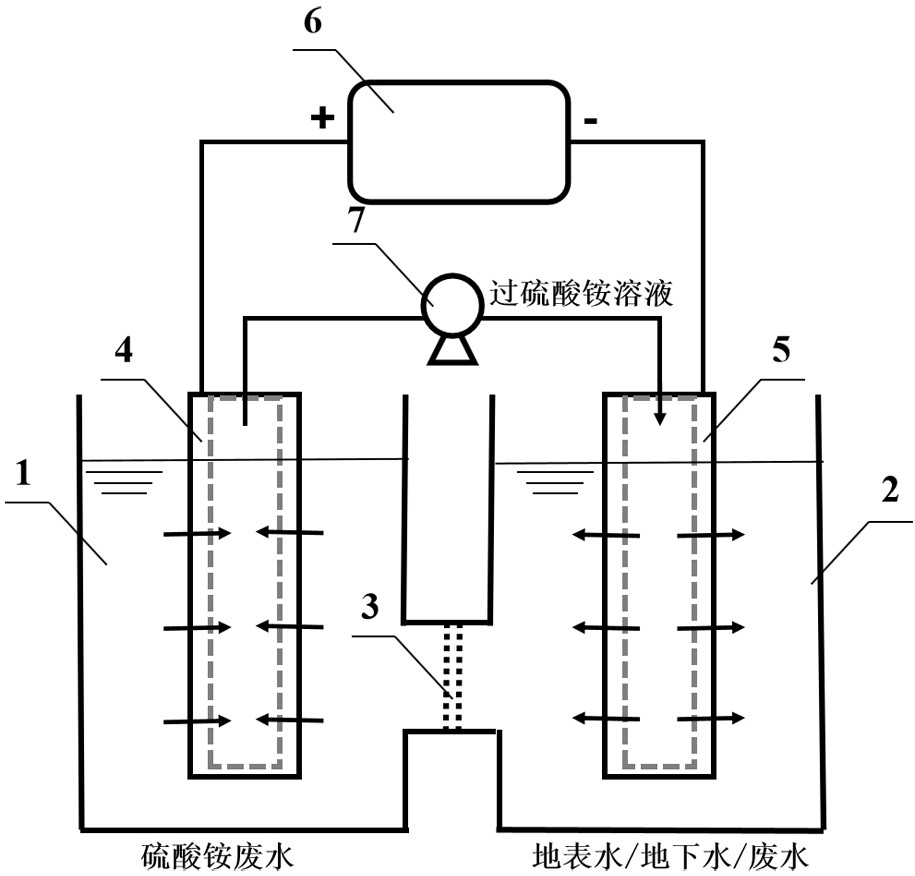 Device and method for synchronous electrolysis/membrane separating/advanced oxidation cooperative treatment of ammonium sulfate-containing wastewater and organic wastewater