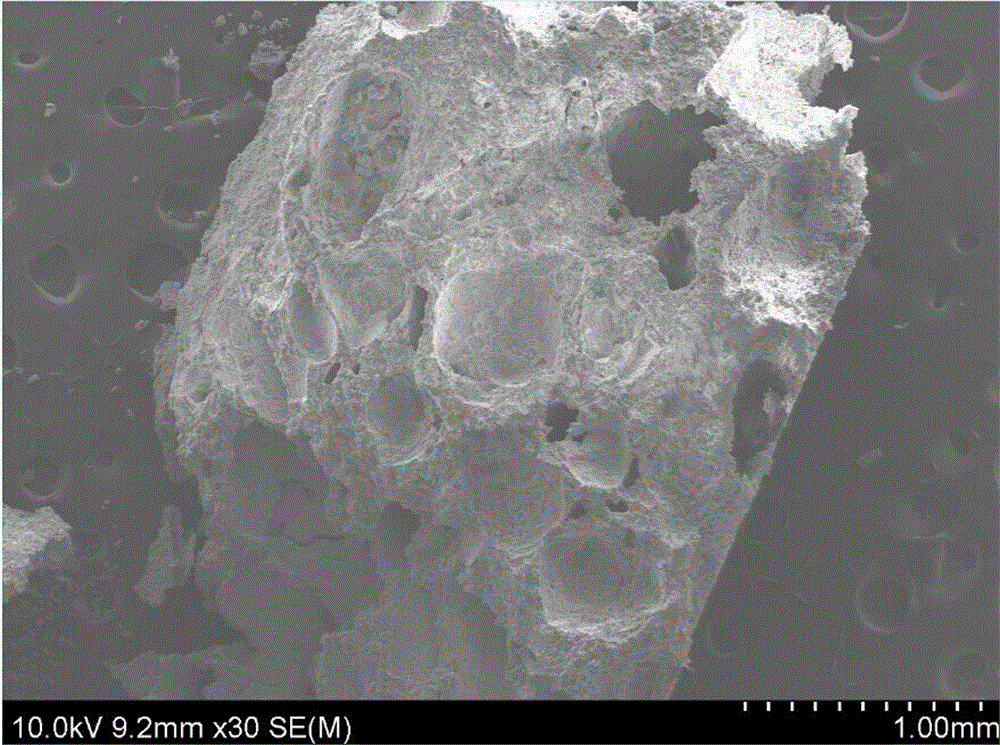 Process for manufacturing alpha-tricalcium phosphate-alpha-calcium sulfate hemihydrates bone cement porous bracket through squashing method