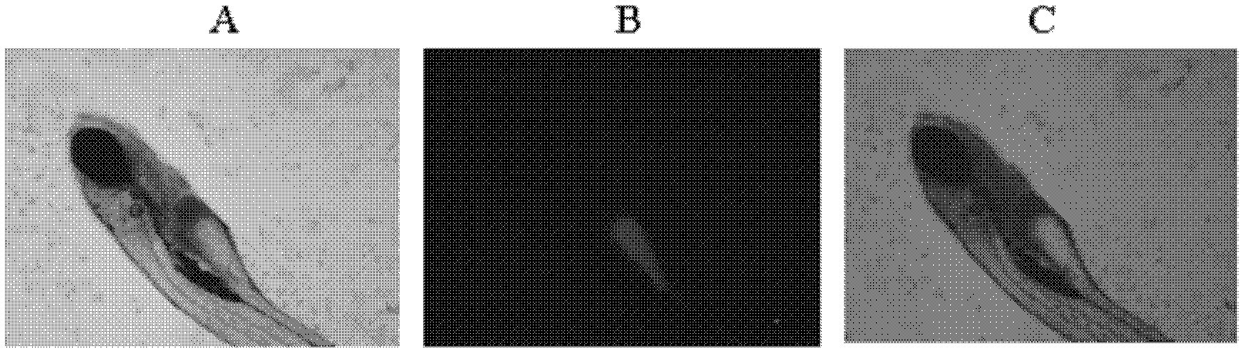 Dyeing method of yolk sacs and/or adipose cells and applications thereof