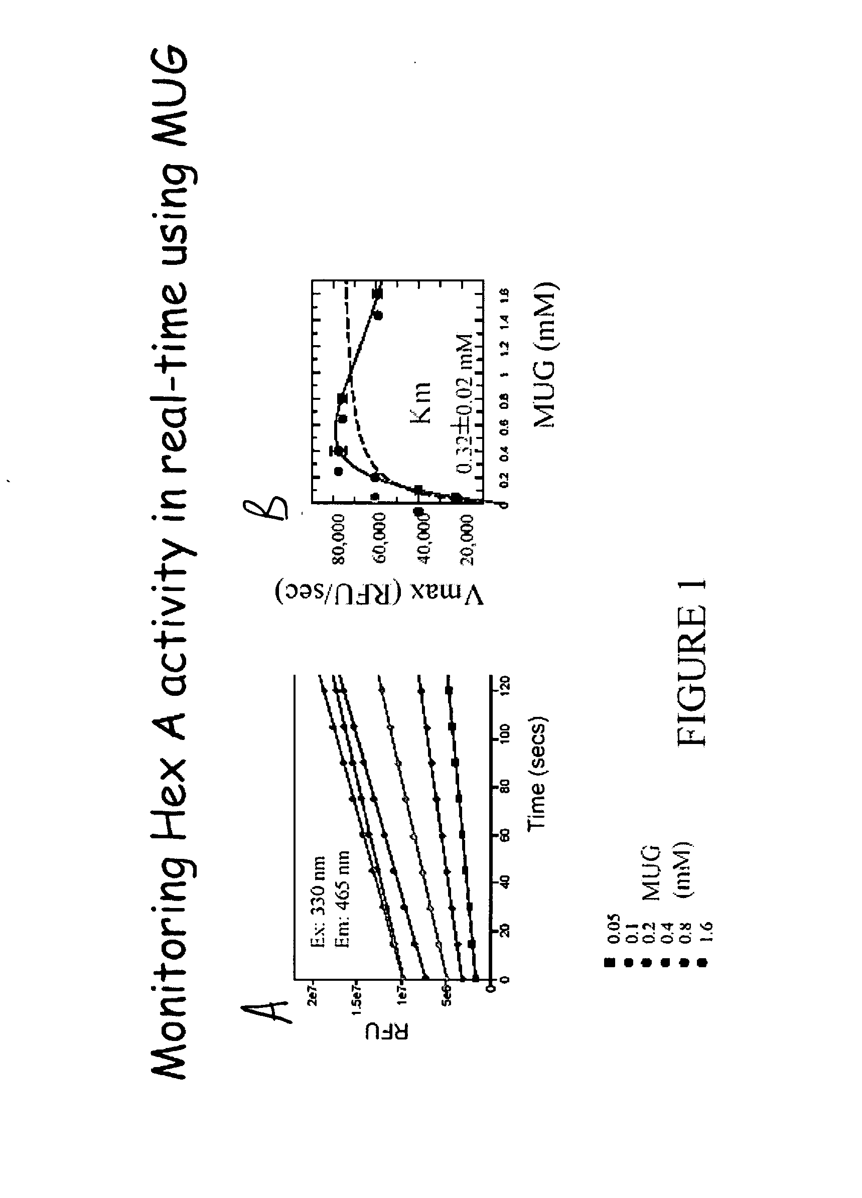 Real time methylumbelliferone-based assay