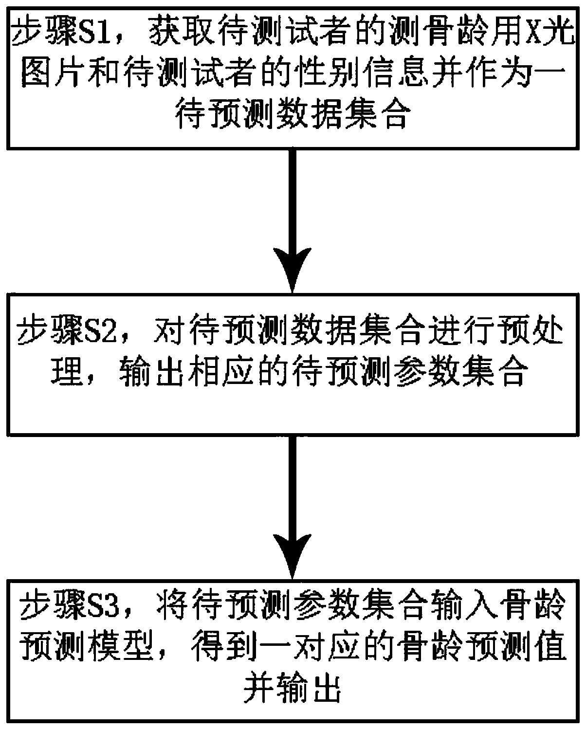 Bone age prediction method