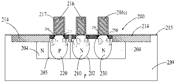 Embedded non-volatile memory provided with P+ single polycrystalline architecture of selector transistor and free of light doped regions and preparation method of embedded non-volatile memory