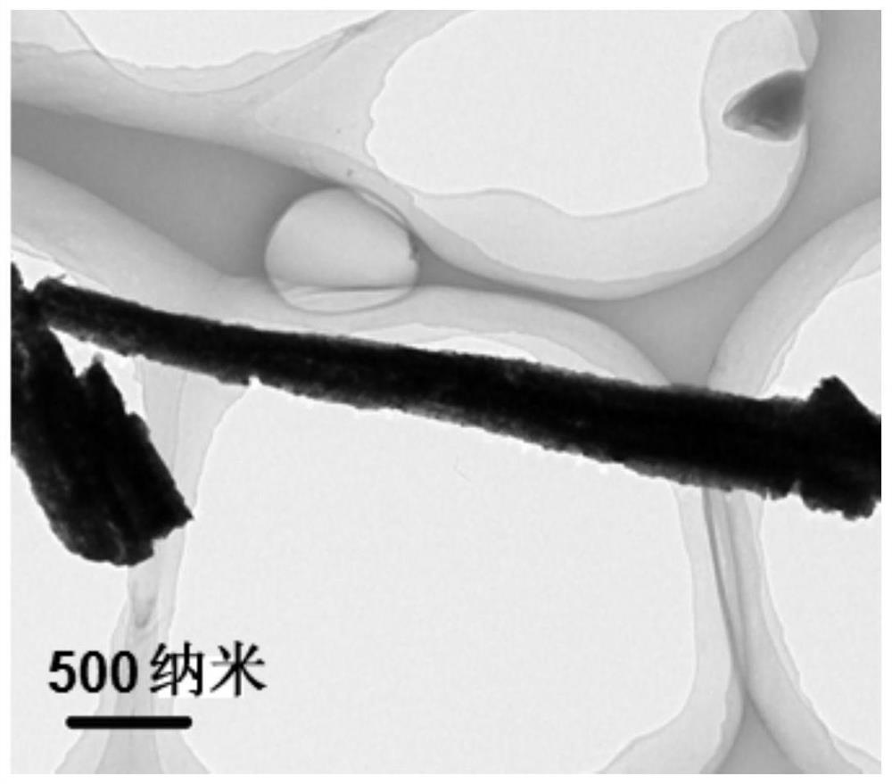 In situ synthesis of copper nanowire array material and its preparation method and application