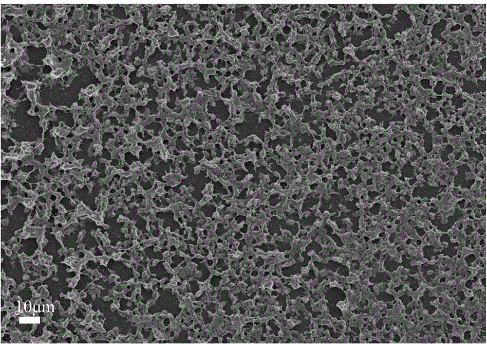 Preparation of chitosan-carbon quantum dot composite film modified electrode and application of chitosan-carbon quantum dot composite film modified electrode to electrochemical identification of tryptophan enantiomer