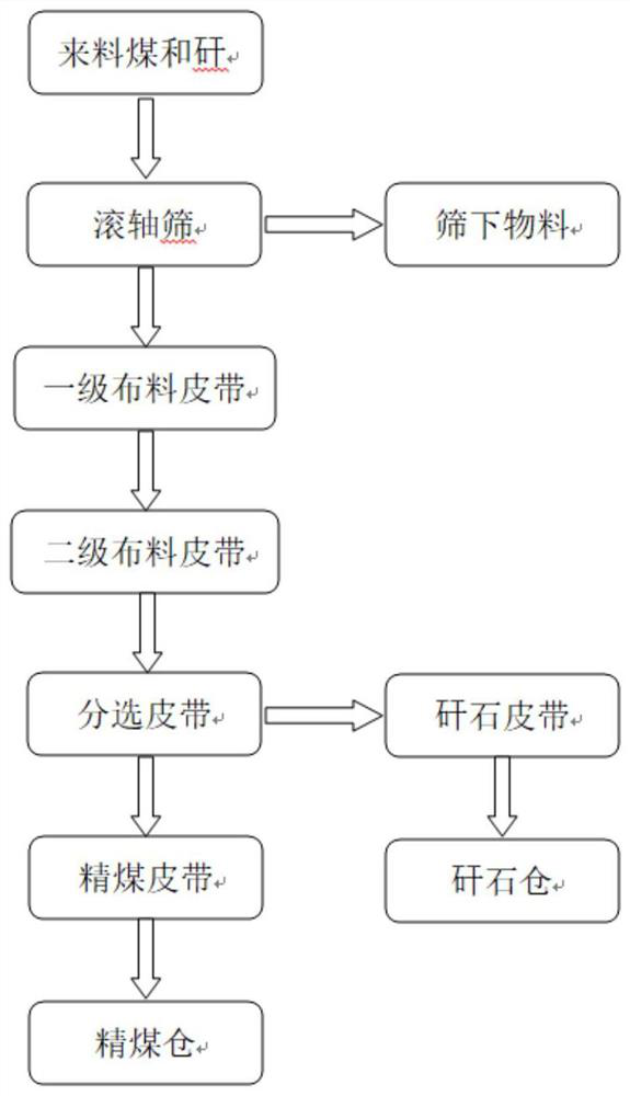 Intelligent automatic sorting system for coal