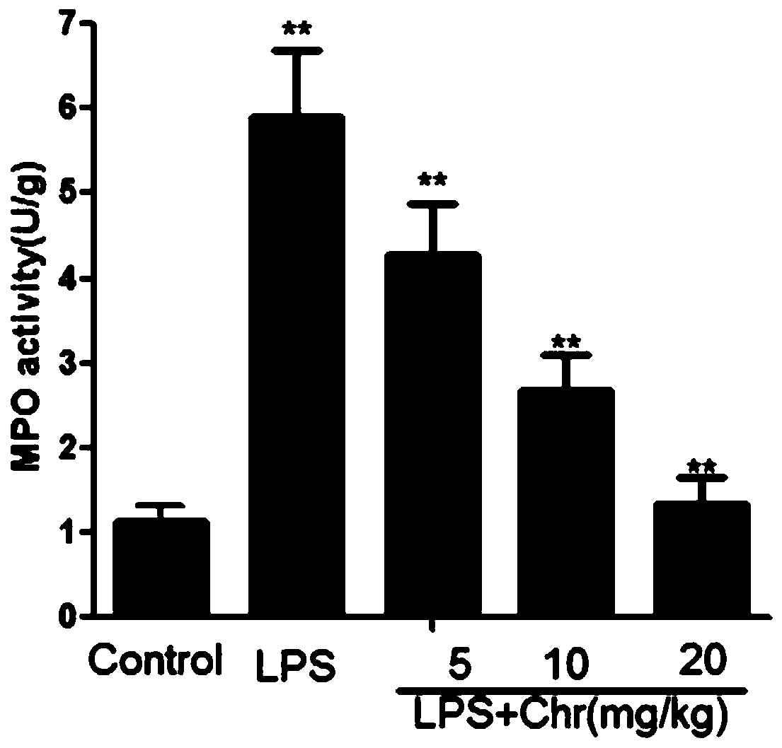 Application of 1,8-dihydroxy-3-methylanthraquinone in preparing medicine for treating acute lung injury