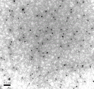 Oil-in-water type compound ceftriaxone nanoemulsion antimicrobial medicine