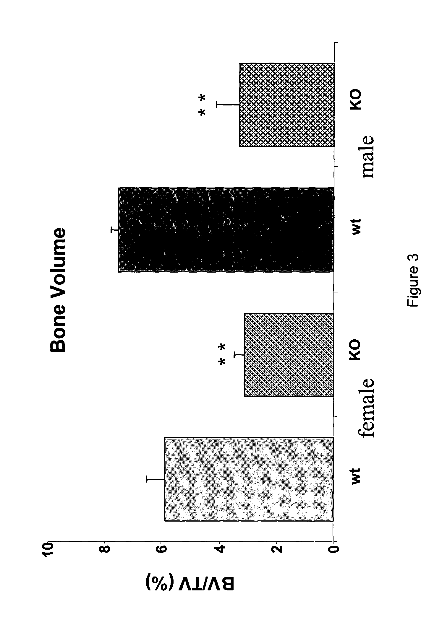 GSK-3beta inhibitors in the treatment of bone-related diseases