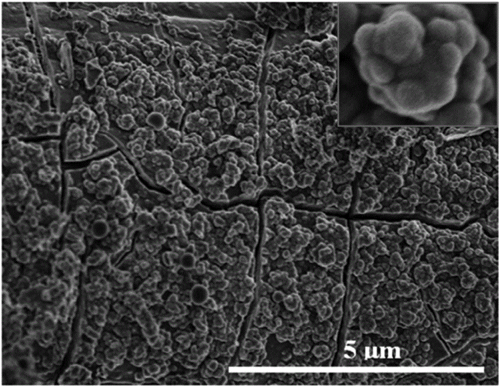 Method for electrochemical enrichment culture of anaerobic ammonia oxidation biomembrane