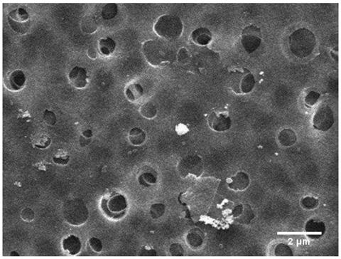 Polyimide porous film and preparation method thereof