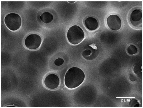 Polyimide porous film and preparation method thereof