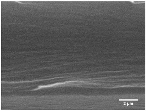 Polyimide porous film and preparation method thereof