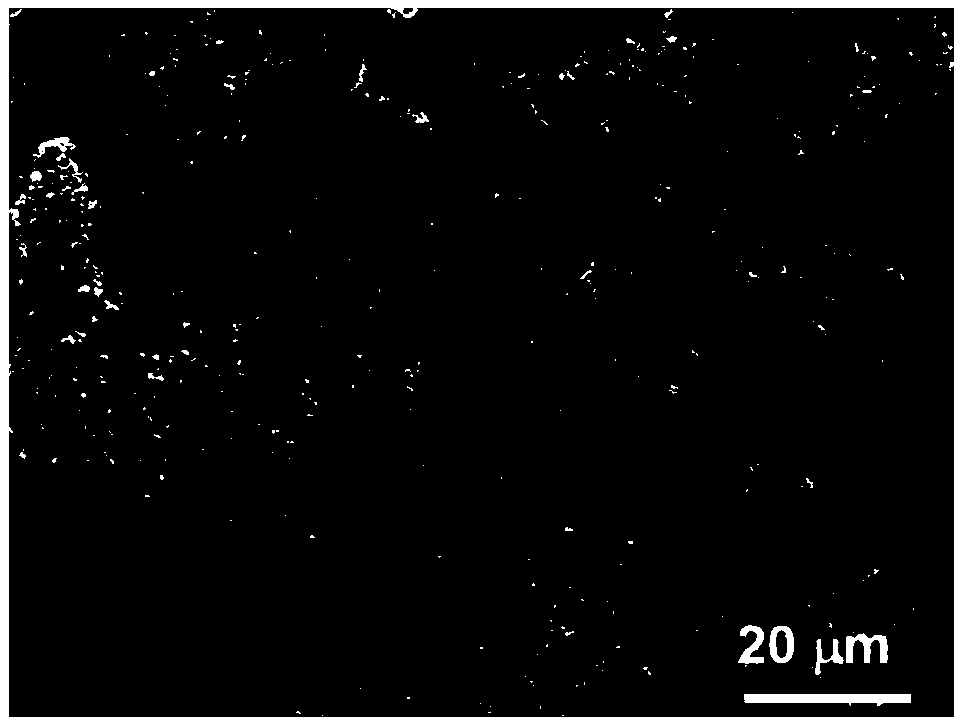 Preparation method and application of a carbon fiber/three-dimensional network graphene composite material