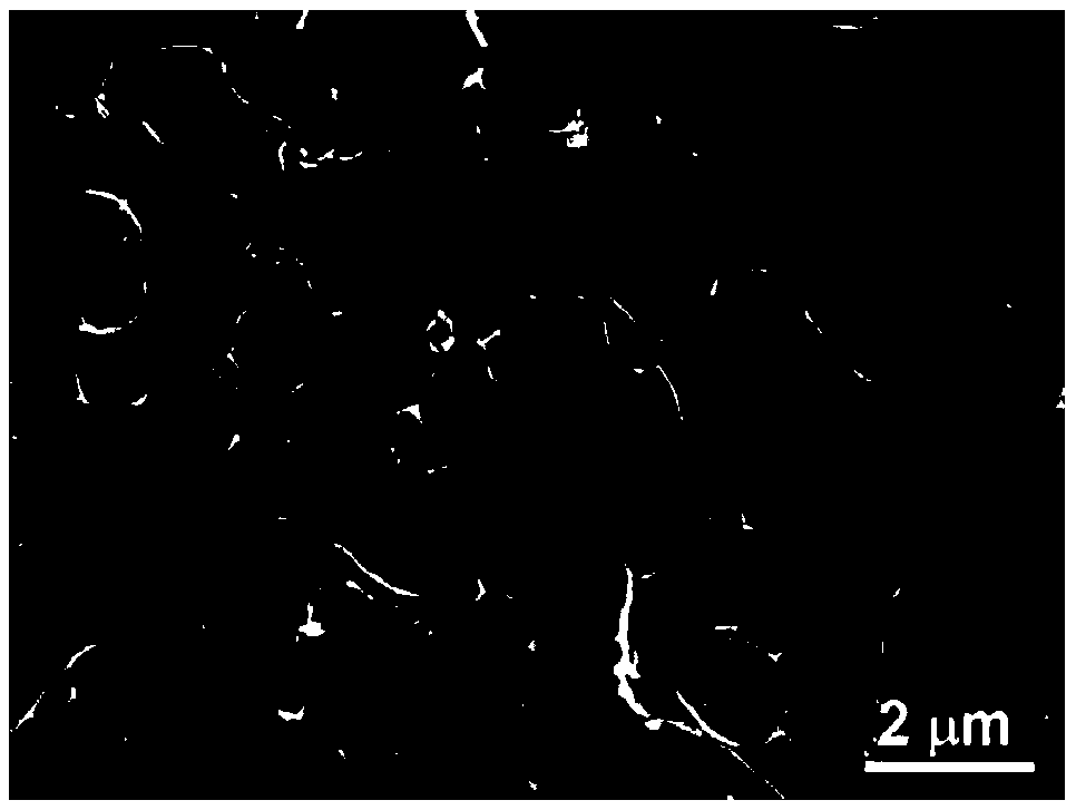 Preparation method and application of a carbon fiber/three-dimensional network graphene composite material