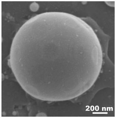 Preparation method of surface-enhanced raman scattering chip useful for trace detection, obtained product and an application