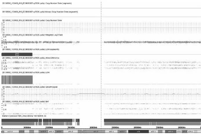 Family-based low-depth sequencing method for detecting chromosome monoparental disomes