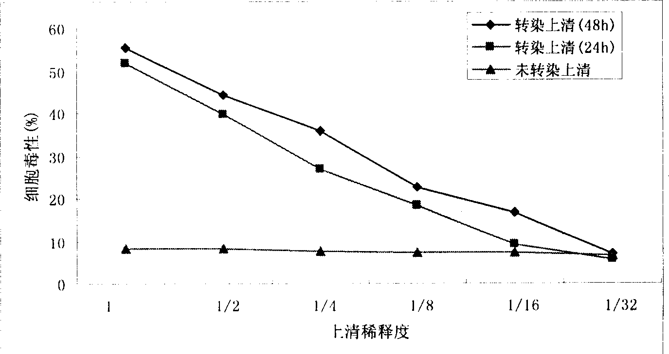 Plasmid containing recombinant immunological toxin MIP-1ª‡-DT390 aiming at activated Th1 cell, its preparation method and uses