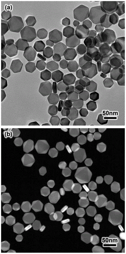 A kind of silver-gold nanosheet based on core-shell structure of epitaxial growth and its preparation method and application