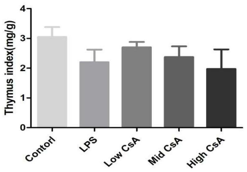 A mouse model of immunosuppressive myocarditis and its construction method and application