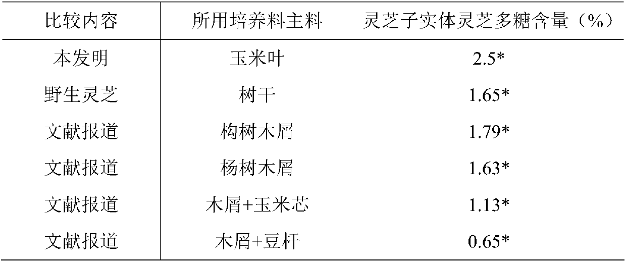 High-yield method for cultivating ganoderma lucidum by using corn bracts