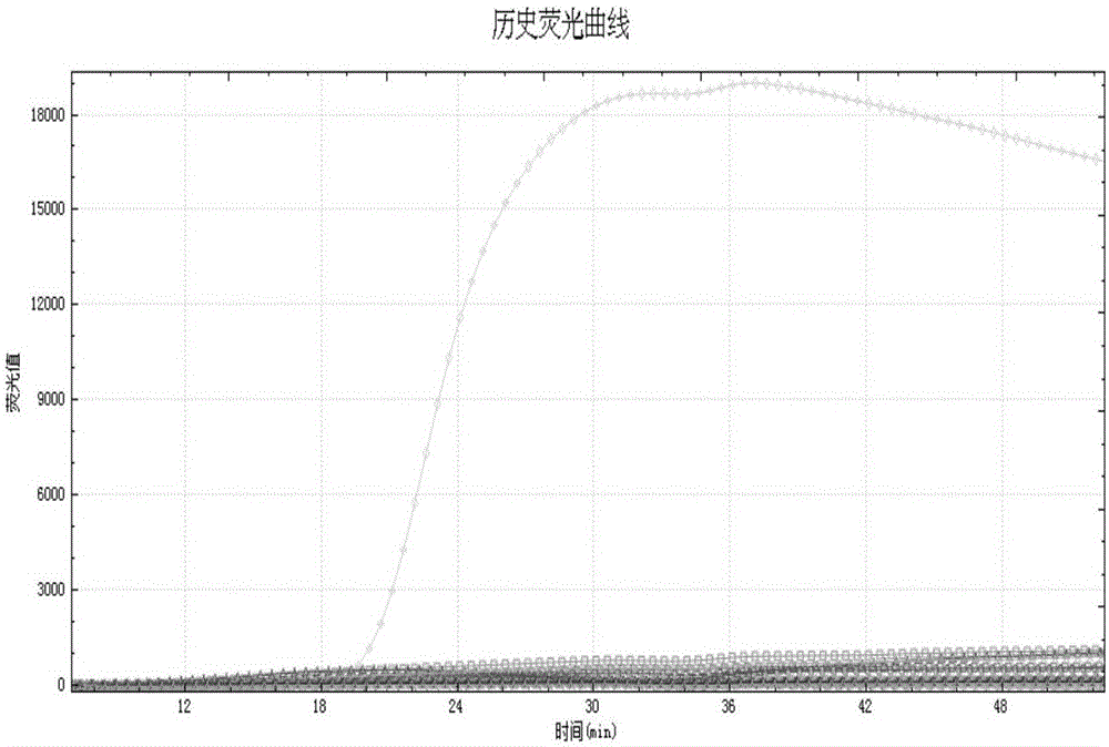 LAMP primer combination for detecting seven types of drug-resistant genes resisting carbapenem antibiotics and application of LAMP primer combination