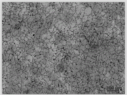 Electrolytic corrosion agent capable of displaying nickel-based corrosion-resistant alloy metallographic structure and corrosion method thereof