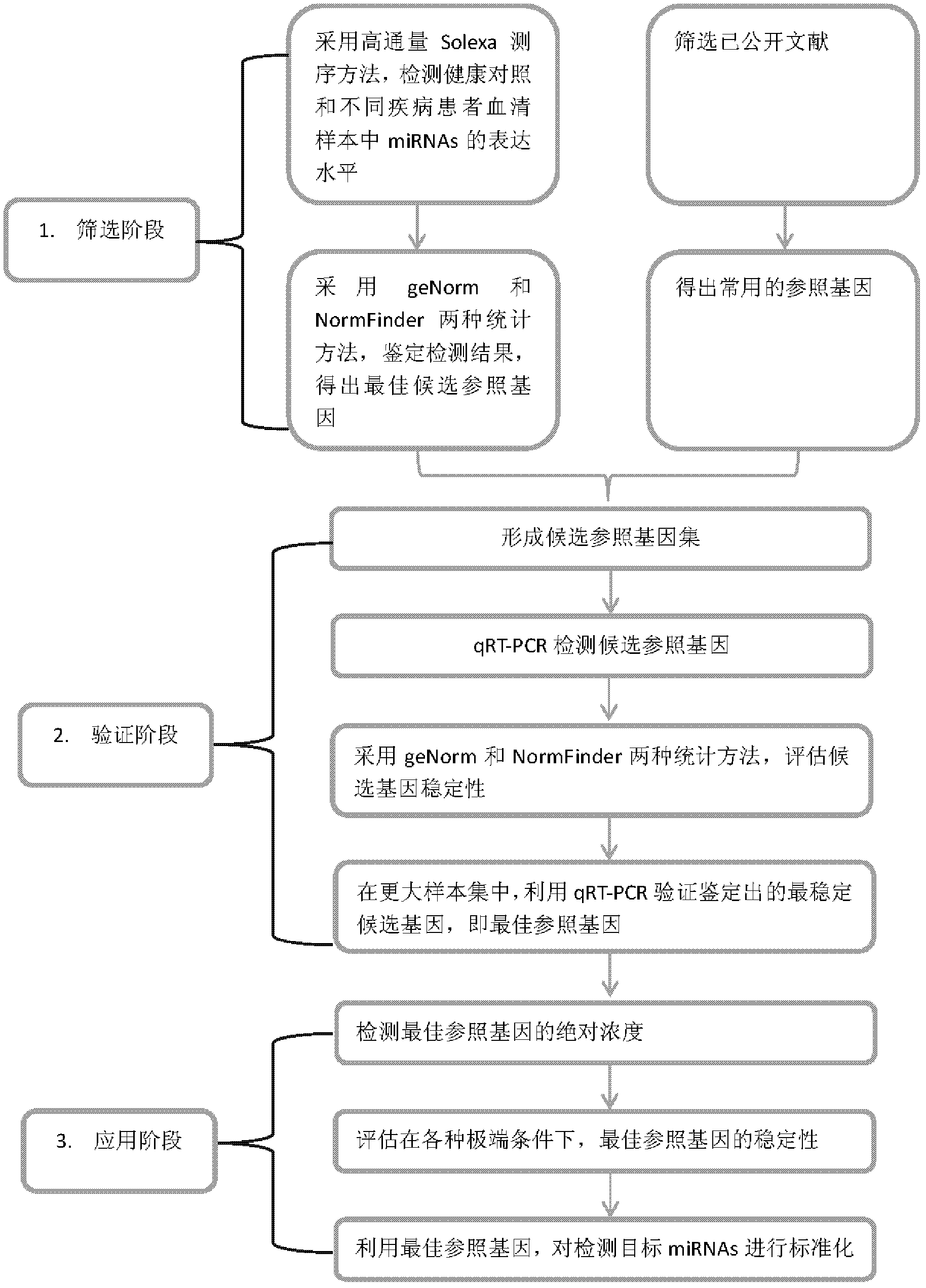 MicroRNA standardization reference gene and application thereof