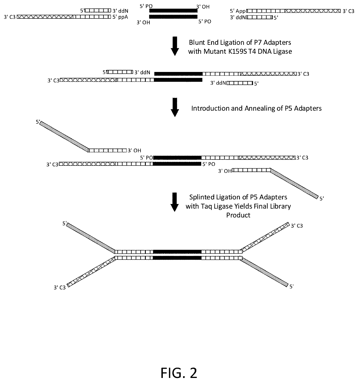 Construction of next generation sequencing (NGS) libraries using competitive strand displacement