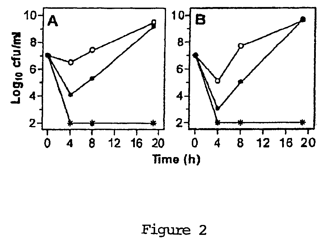 Uses of sysnergistic bacteriophage lytic enzymes for prevention and treatment of bacterial infections