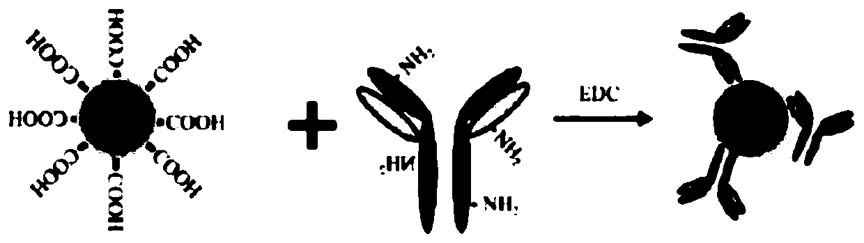 A kit for detecting tumor m2-type pyruvate kinase and its preparation method