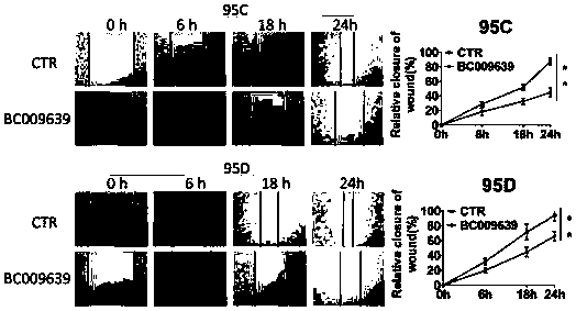 Application of long-chain non-coding RNA in preparing preparation for inhibiting tumor cell migration