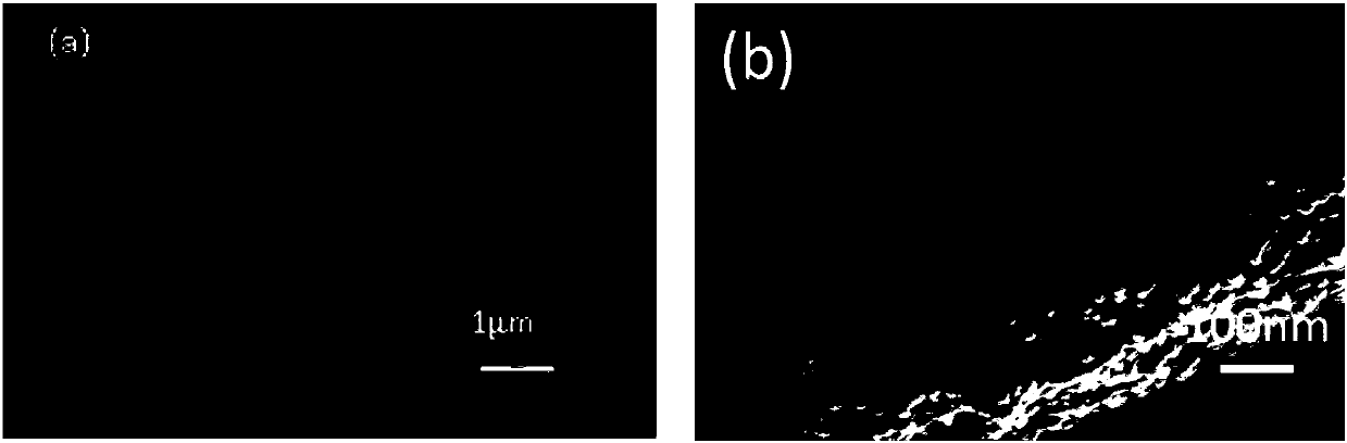 Molybdenum disulfide-coated carbon nanofiber used as negative electrode material for lithium-ion battery and preparation method of molybdenum disulfide-coated carbon nanofiber