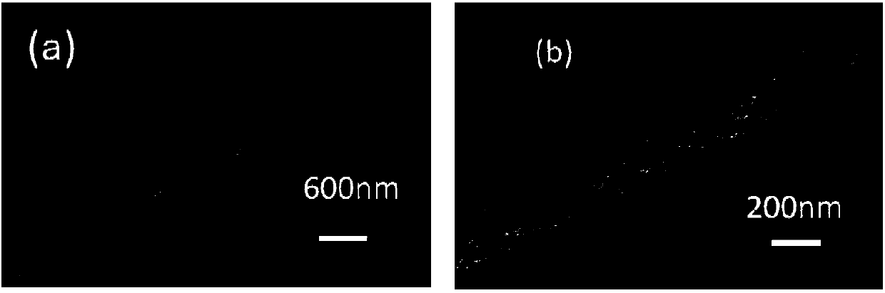 Molybdenum disulfide-coated carbon nanofiber used as negative electrode material for lithium-ion battery and preparation method of molybdenum disulfide-coated carbon nanofiber