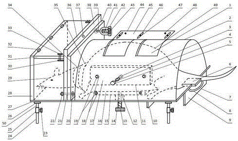 Phototoxicity exposure experimental animal fixing and protecting device