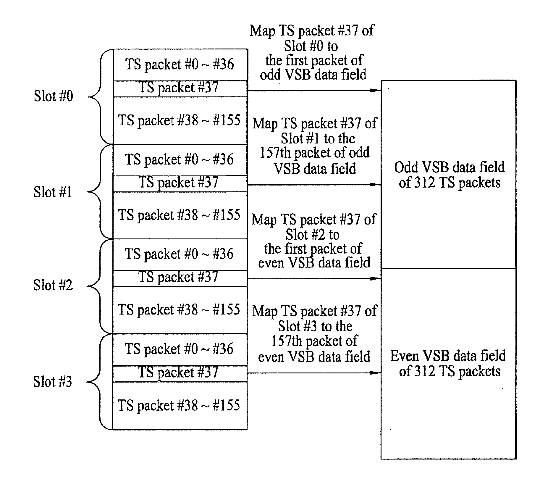 Digital broadcasting system and method of processing data in digital broadcasting system