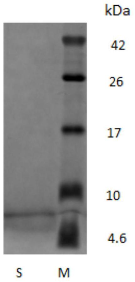 A novel self-assembled collagen and its preparation method