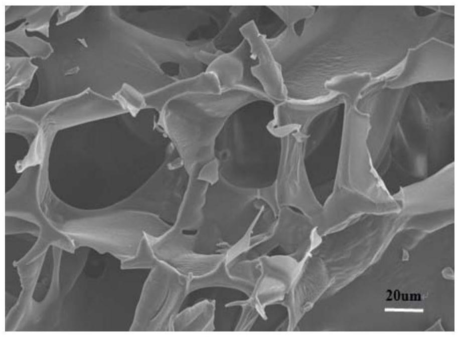 A novel self-assembled collagen and its preparation method