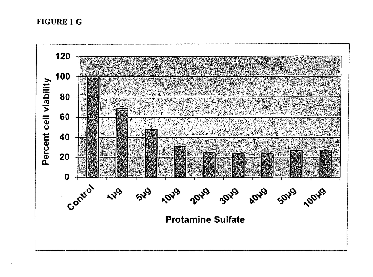 Peptide-mediated intravesical delivery of therapeutic and diagnostic agents